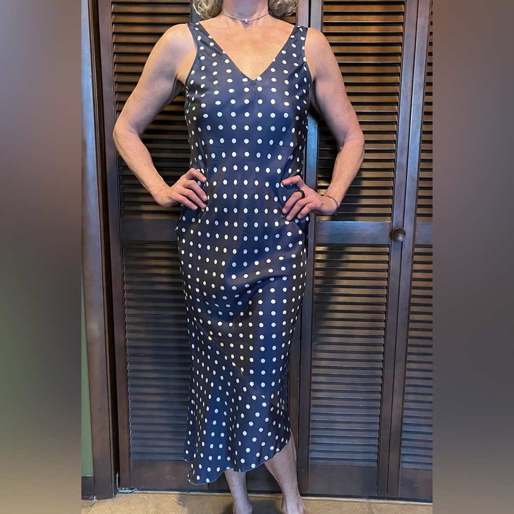 Joseph Blue and White Silk Dress